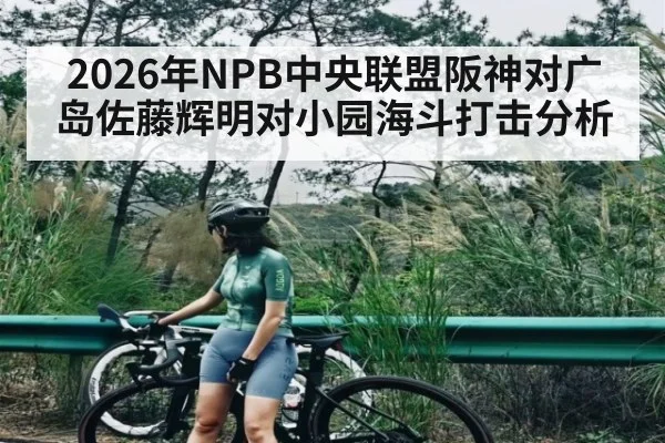 2026年NPB中央联盟阪神对广岛佐藤辉明对小园海斗打击分析
